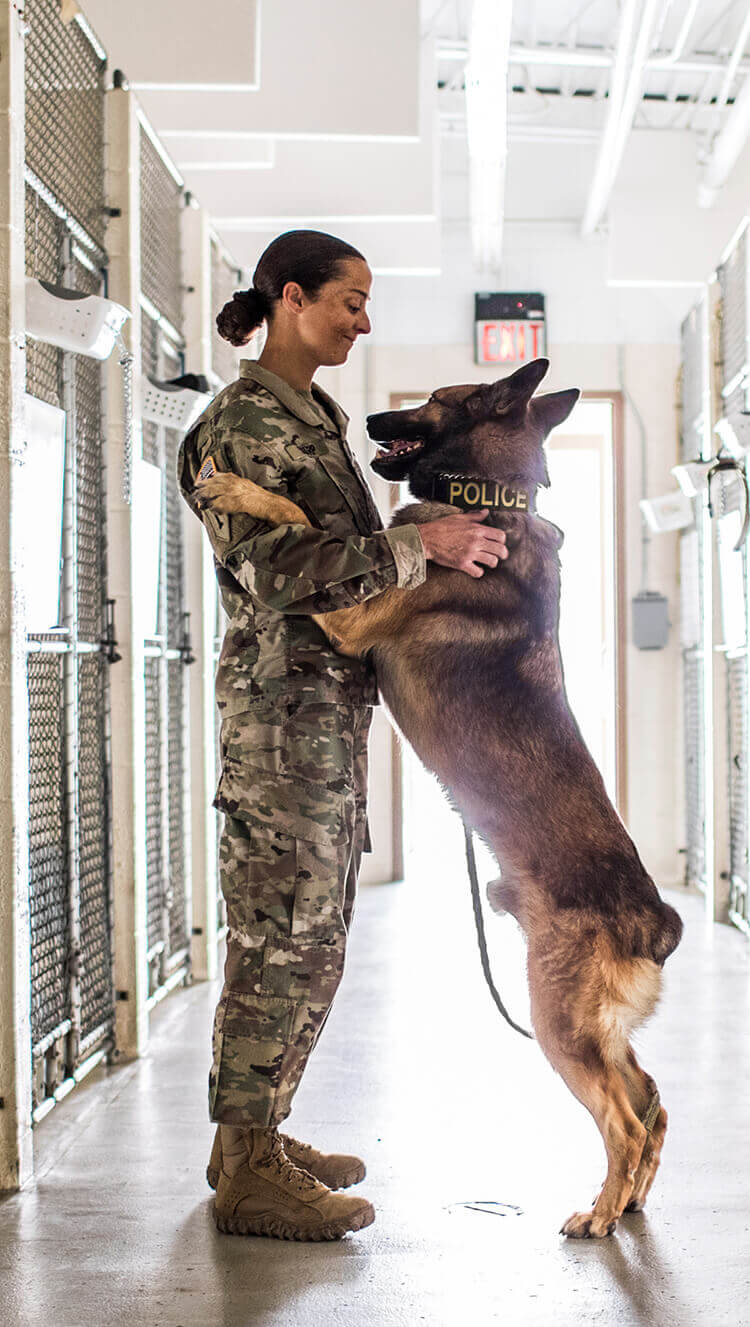 Army veterinarian hugging a dog